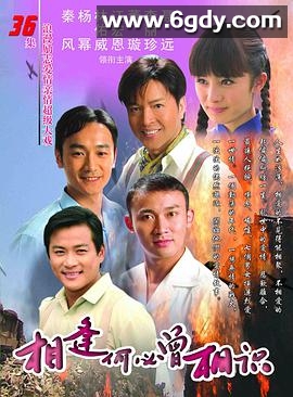 相逢何必曾相识(2011)完结全36集迅雷网盘全集下载
