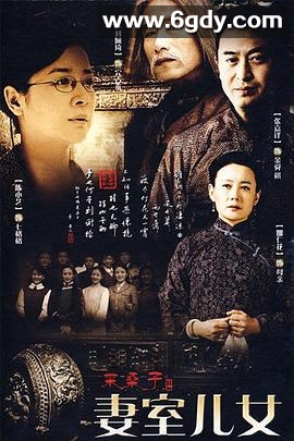 妻室儿女(2009)完结全37集迅雷网盘全集下载