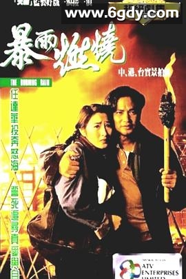 暴雨燃烧(1991)完结全35集迅雷网盘全集下载