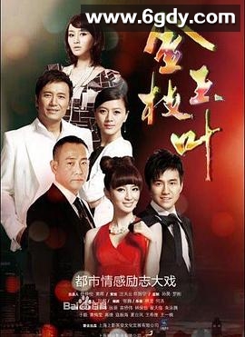 金枝玉叶(2011)完结全46集迅雷网盘全集下载