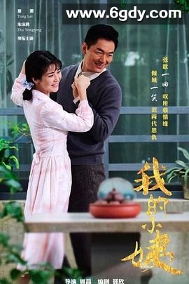 我的小姨(2017)完结已完结迅雷网盘全集下载