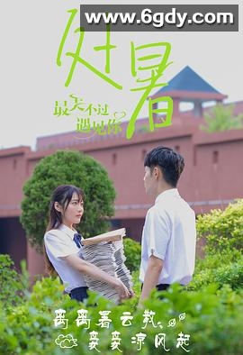 最美不过遇见你(2021)完结全24集迅雷网盘全集下载