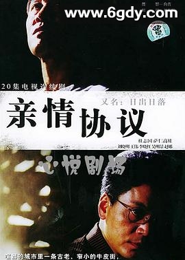 日落日出(2005)完结全20集迅雷网盘全集下载
