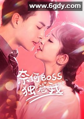 奈何Boss独宠我(2020)完结全28集迅雷网盘全集下载