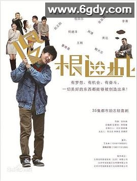 傻根进城(2015)完结已完结迅雷网盘全集下载