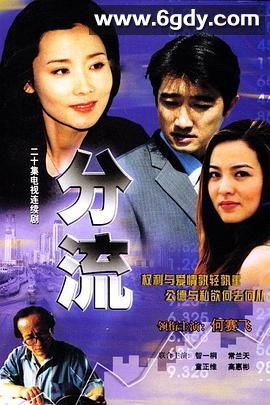 分流(2002)完结全20集迅雷网盘全集下载