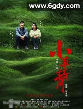 小草青青(2016)完结全55集迅雷网盘全集下载