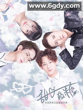 甜心软糖 第一季(2019)完结全12集迅雷网盘全集下载