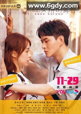 未经安排的青春(2019)完结已完结迅雷网盘全集下载