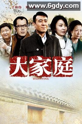 大家庭(2012)完结已完结迅雷网盘全集下载