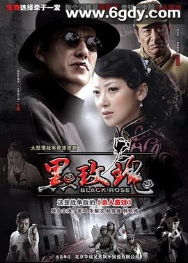 黑玫瑰(2009)完结已完结迅雷网盘全集下载
