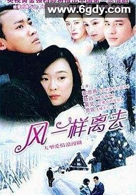 像风一样离去(2005)完结全25集迅雷网盘全集下载