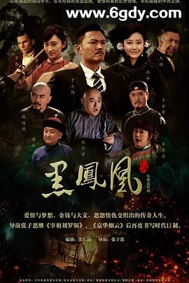 黑凤凰(2013)完结已完结迅雷网盘全集下载