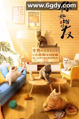 你好喵室友(2020)完结已完结迅雷网盘全集下载