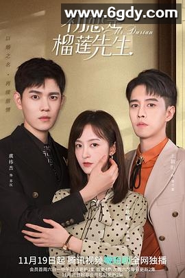 初恋是榴莲先生(2021)完结全24集迅雷网盘全集下载