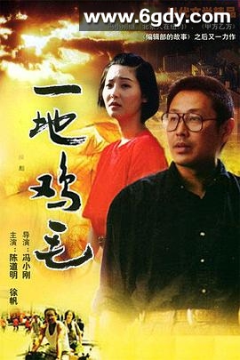 一地鸡毛(1995)完结已完结迅雷网盘全集下载