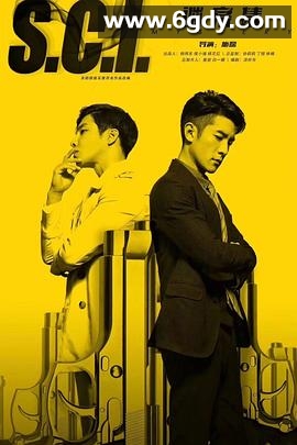 S.C.I.谜案集(2018)完结24集全迅雷网盘全集下载
