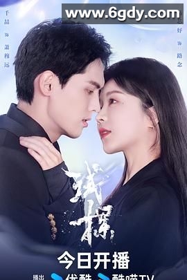 试探(2024)完结24集全迅雷网盘全集下载