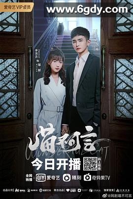 喵不可言(2022)完结全12集迅雷网盘全集下载