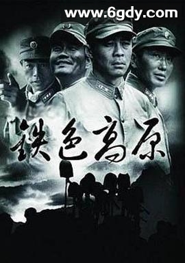 铁色高原(2005)完结全22集迅雷网盘全集下载