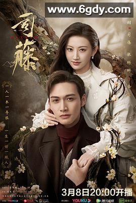 司藤(2021)完结30集全迅雷网盘全集下载