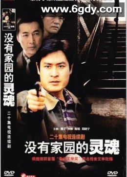 没有家园的灵魂(2004)完结全20集迅雷网盘全集下载