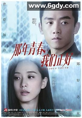 那年青春我们正好(2016)完结已完结迅雷网盘全集下载