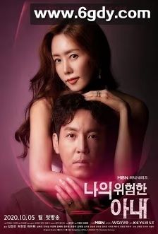 我的危险妻子(2020)完结16集全迅雷网盘全集下载