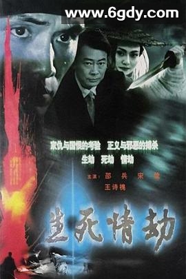 生死情劫(2003)完结全22集迅雷网盘全集下载