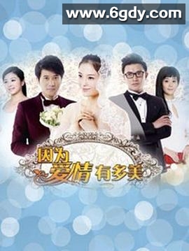 因为爱情有多美(2013)完结已完结迅雷网盘全集下载