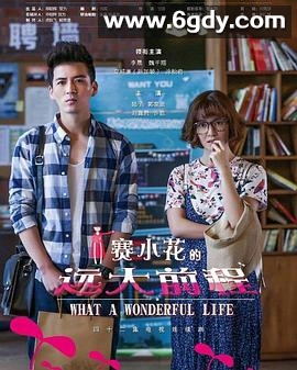 赛小花的远大前程(2017)完结全42集迅雷网盘全集下载