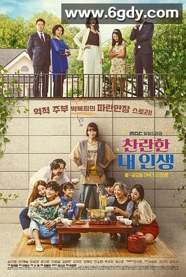 我的灿烂人生(2011)完结已完结迅雷网盘全集下载