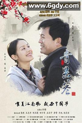 青果巷(2014)完结已完结迅雷网盘全集下载
