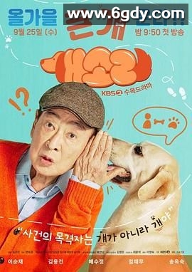 狗话(2024)完结已完结迅雷网盘全集下载