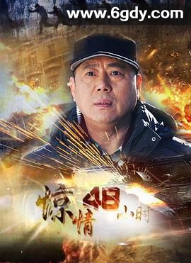惊情48小时(2013)完结已完结迅雷网盘全集下载