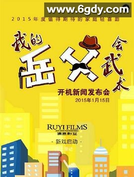 我的岳父会武术(2016)完结40集全迅雷网盘全集下载