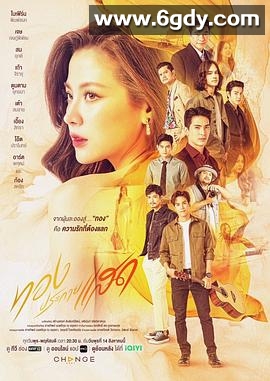 金色光芒(2024)完结已完结迅雷网盘全集下载