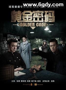 黄金密码(2011)完结已完结迅雷网盘全集下载