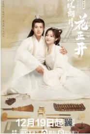 清风朗月花正开(2021)完结全24集迅雷网盘全集下载