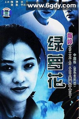 绿萝花(2001)完结全25集迅雷网盘全集下载