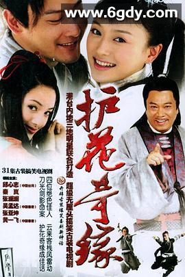 护花奇缘(2004)完结全31集迅雷网盘全集下载