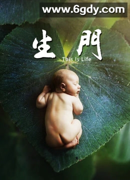 生门(2017)完结13集全迅雷网盘全集下载