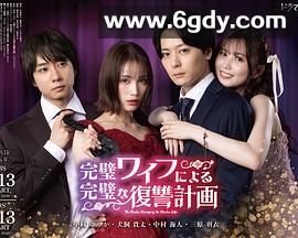 完美妻子的完美复仇计划(2024)完结已完结迅雷网盘全集下载