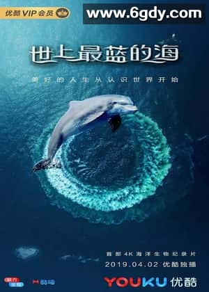 世上最蓝的海(2019)完结更新第08集迅雷网盘全集下载