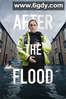 洪水之后(2024)完结6集全迅雷网盘全集下载