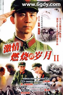 激情燃烧的岁月2(2004)完结20集全迅雷网盘全集下载