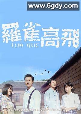 罗雀高飞(2020)完结18集全迅雷网盘全集下载
