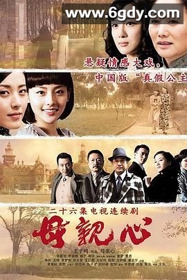 母亲心(2010)完结已完结迅雷网盘全集下载