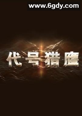 代号猎鹰(2018)完结更新第14集迅雷网盘全集下载