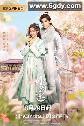 小财迷(2024)完结24集全迅雷网盘全集下载